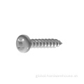China Pan Head Self Tapping Screw With Collar Factory